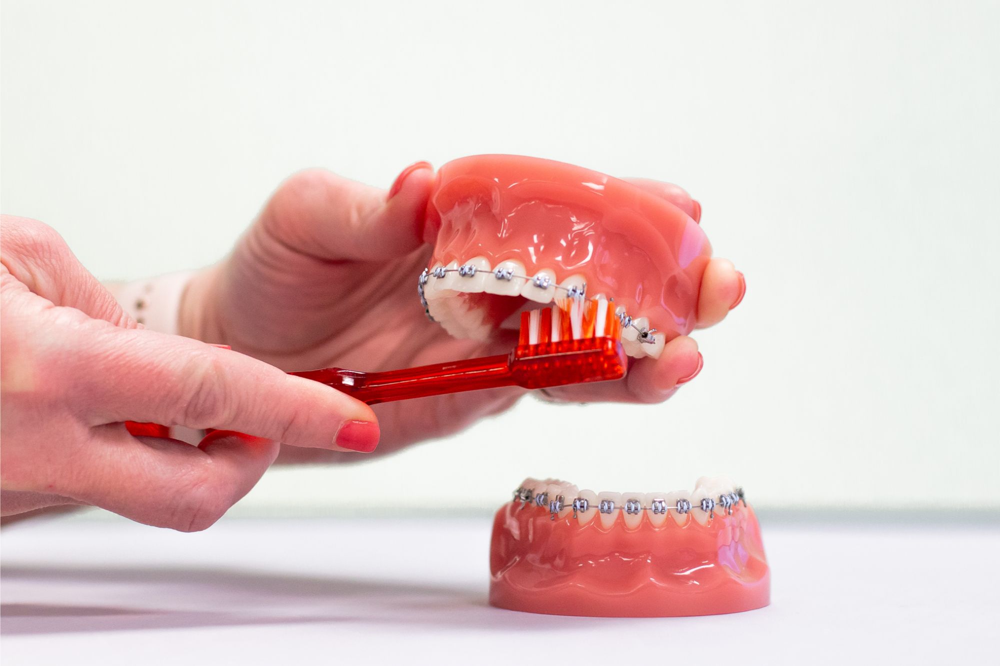 photo of hands brushing braces on a plastic mouth model